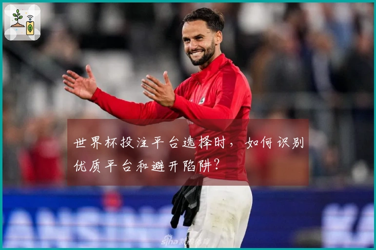 世界杯投注平台选择时，如何识别优质平台和避开陷阱？