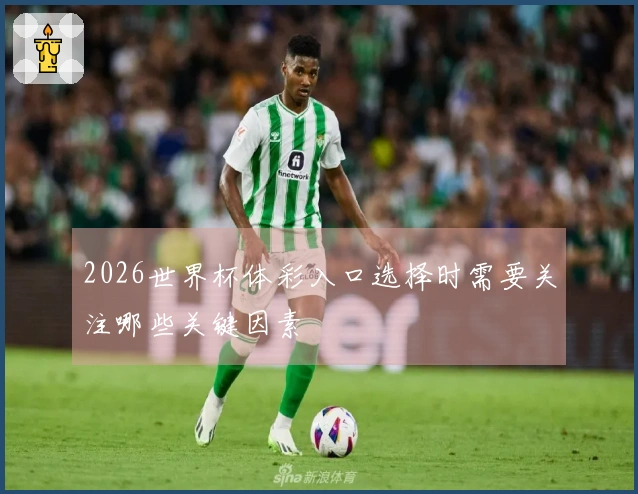 2026世界杯体彩入口选择时需要关注哪些关键因素