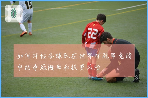 如何评估各球队在世界杯冠军竞猜中的夺冠概率和投资风险