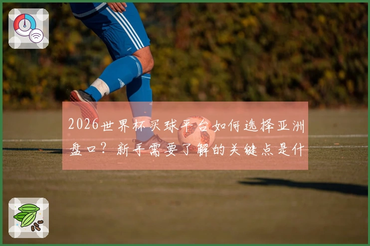 2026世界杯买球平台如何选择亚洲盘口？新手需要了解的关键点是什么