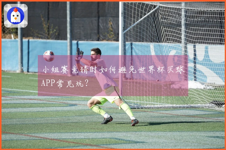 小组赛竞猜时如何避免世界杯买球APP常见坑？